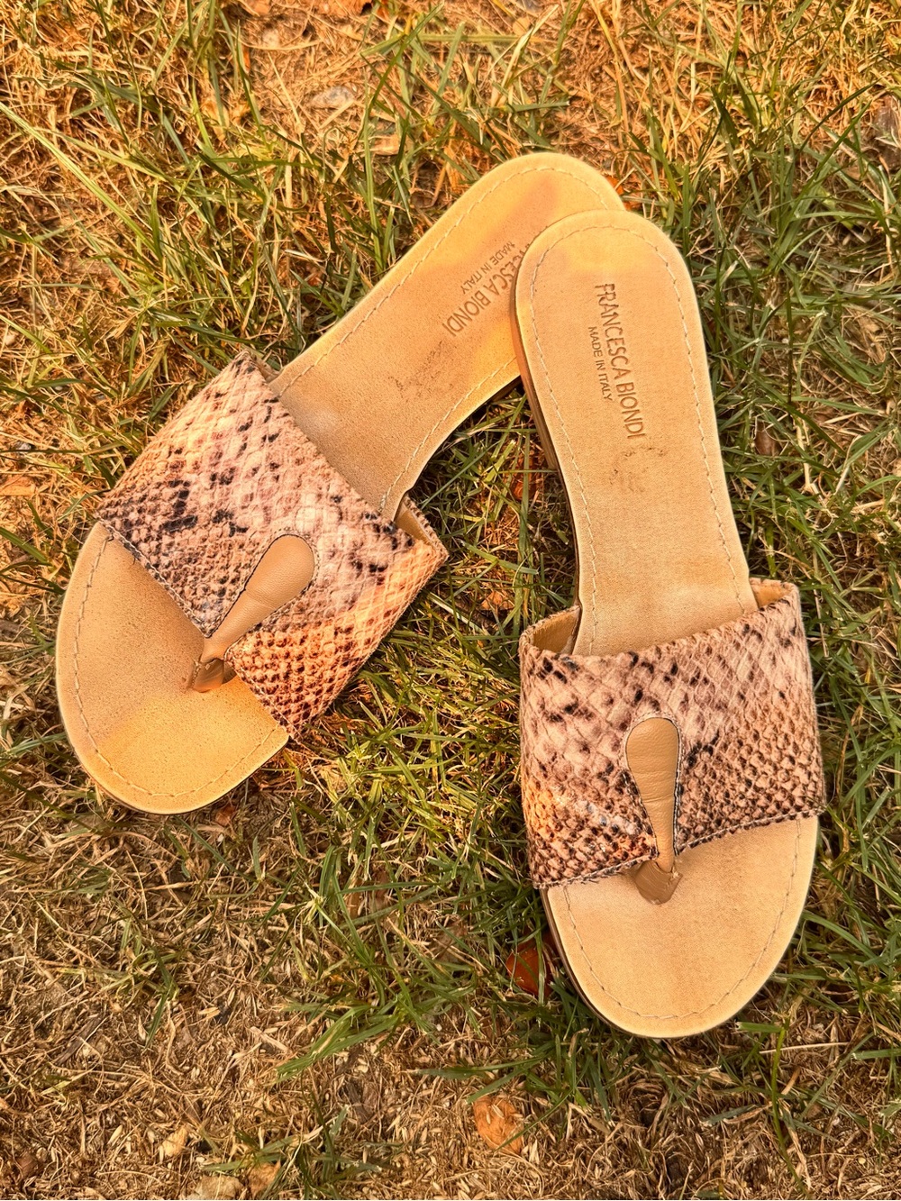 SIZE 8 SLIDES.